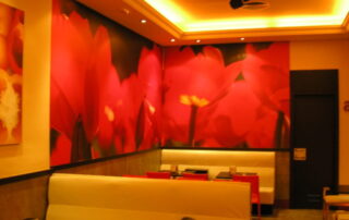 Heladería bancadas y sillas